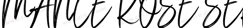 MANCE ROSE SERIF字体转换